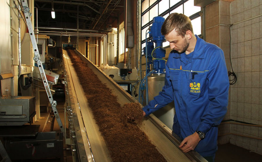 Production of cigarettes at the Neman factory